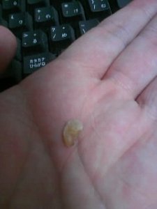 なんか捨てらんねぇ なんか捨てらんねぇ